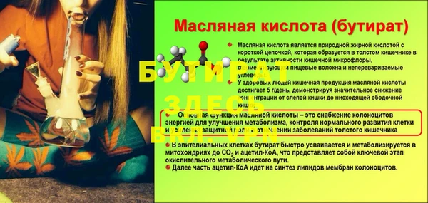 ПСИЛОЦИБИНОВЫЕ ГРИБЫ Абаза