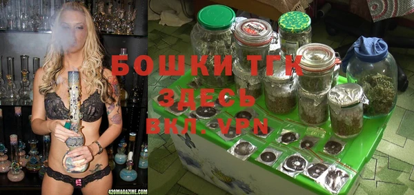 ПСИЛОЦИБИНОВЫЕ ГРИБЫ Абдулино