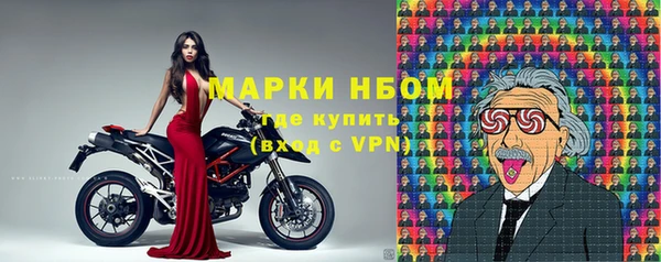 ПСИЛОЦИБИНОВЫЕ ГРИБЫ Абаза