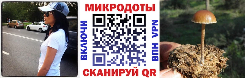 сайты даркнета наркотические препараты  купить наркотик  Благодарный  Галлюциногенные грибы мицелий 